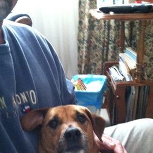 Meet your Posher, David